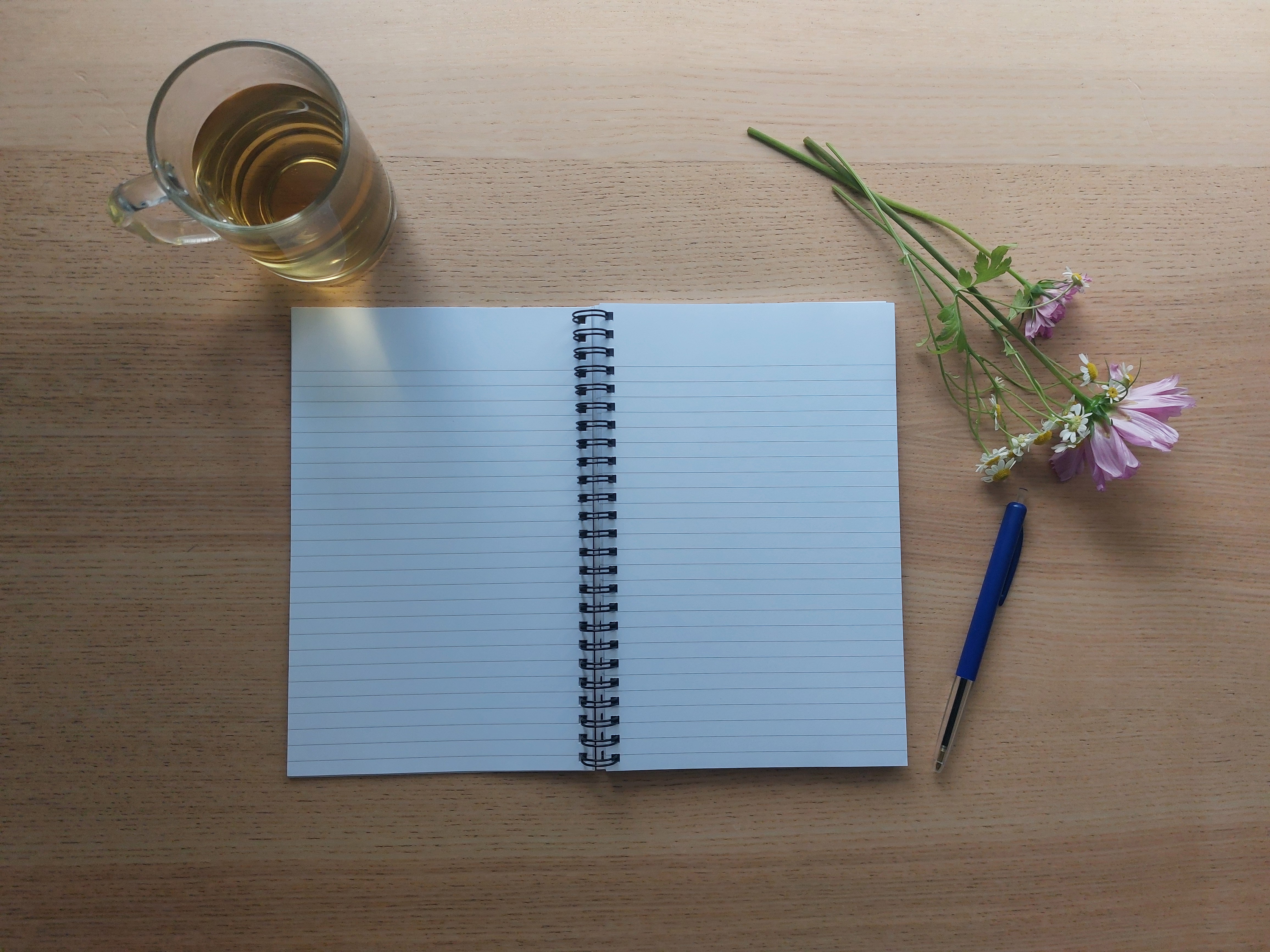 Cup-of-Work Notebook